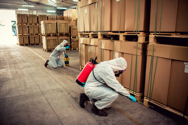 Best Ant Control Services  in Llender, CA