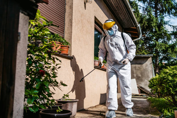 Pest Control for Restaurants in Callender, CA