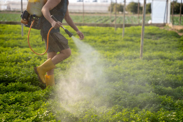 Best Pest Control for Restaurants  in Llender, CA