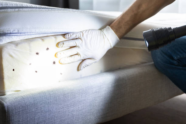 Best Commercial Pest Control Services  in Llender, CA