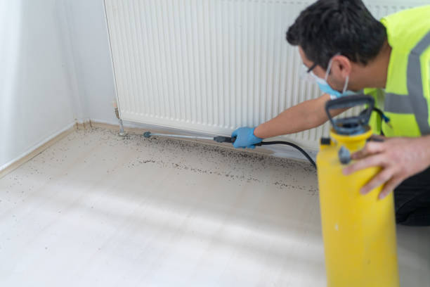 Best Pest Prevention Services  in Llender, CA