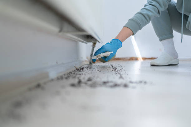 Best Pest Inspection Near Me  in Llender, CA
